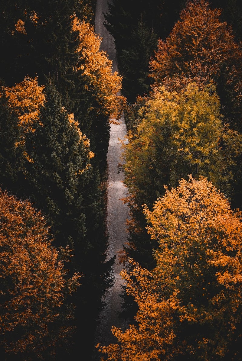 Mindful Stillness